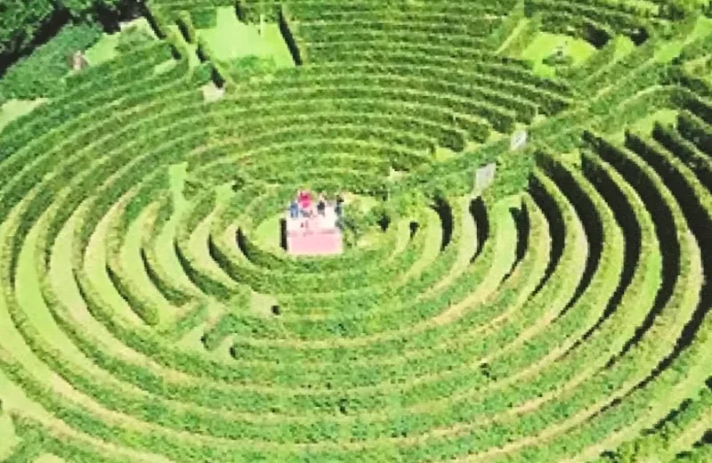 labyrinthe végétal Artmazia près de neufchatel en bray